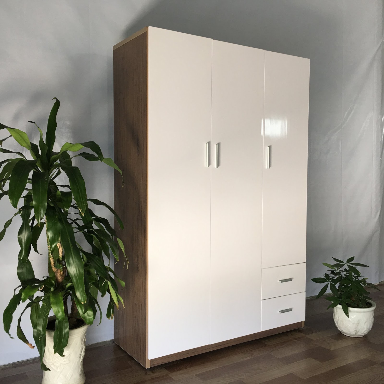 Tủ nhựa Ecoplast cánh